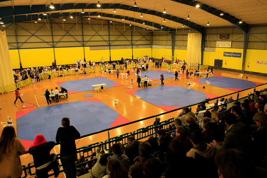 Casi 320 deportistas en el V Trofeo La Rinconada de Taekwondo