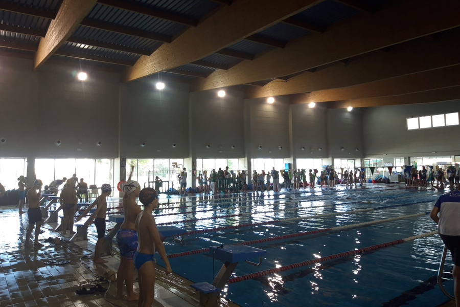 300 nadadores en la Piscina Cubierta